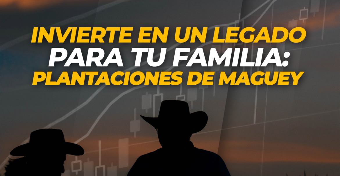 Formar una agencia de marketing digital maguey token