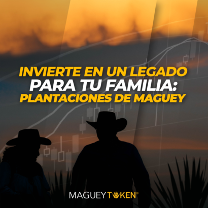 Formar una agencia de marketing digital maguey token