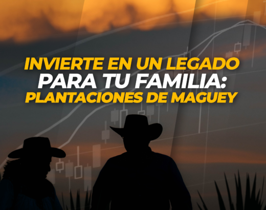 Formar una agencia de marketing digital maguey token