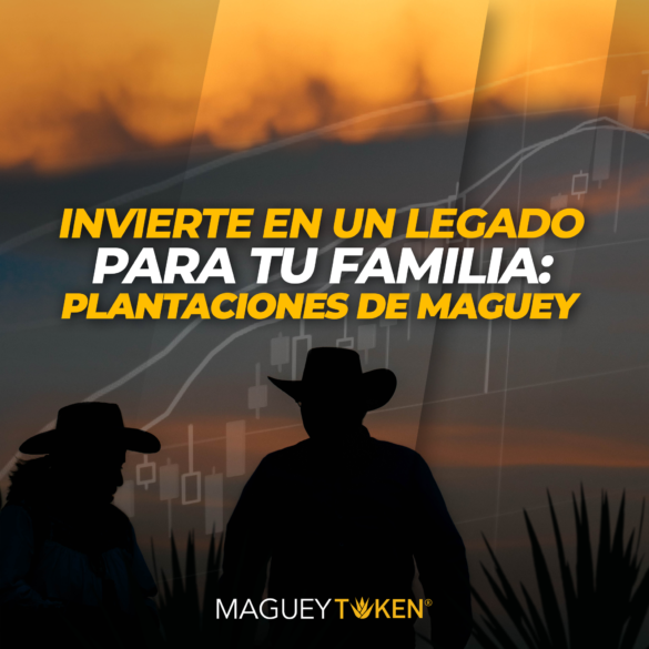 Formar una agencia de marketing digital maguey token